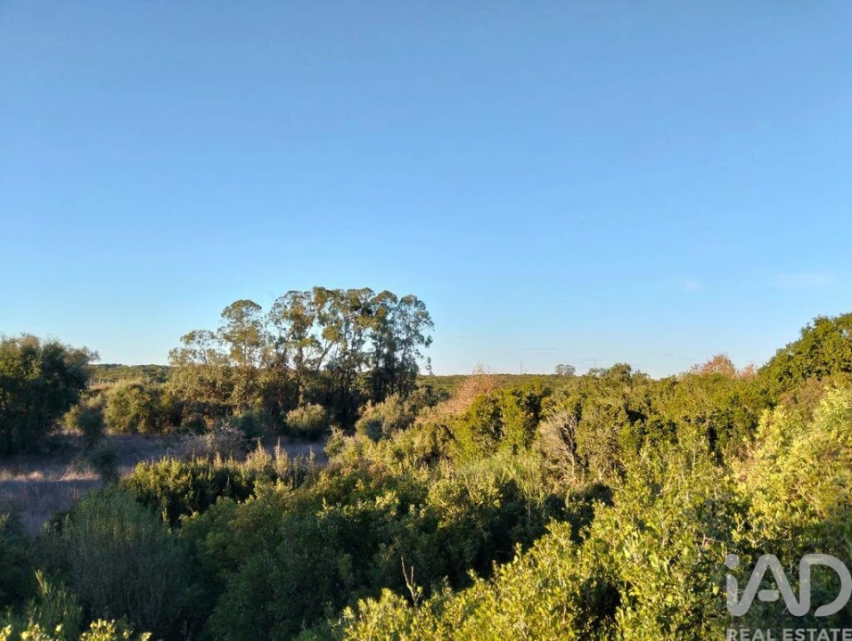 Terreno para Venda em Almoster Foto 8