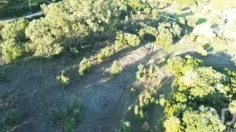 Terreno para Venda em Almoster Foto 29