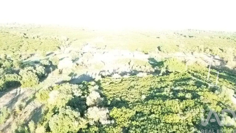 Terreno para Venda em Almoster Foto 27