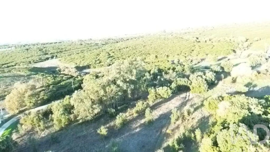 Terreno para Venda em Almoster Foto 15