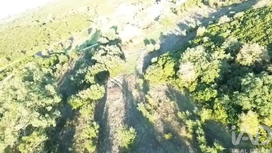 Terreno para Venda em Almoster Foto 19