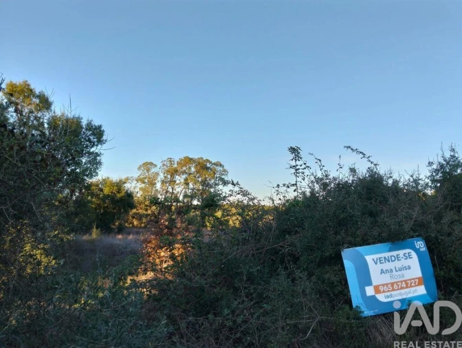 Terreno para Venda em Almoster Foto 11