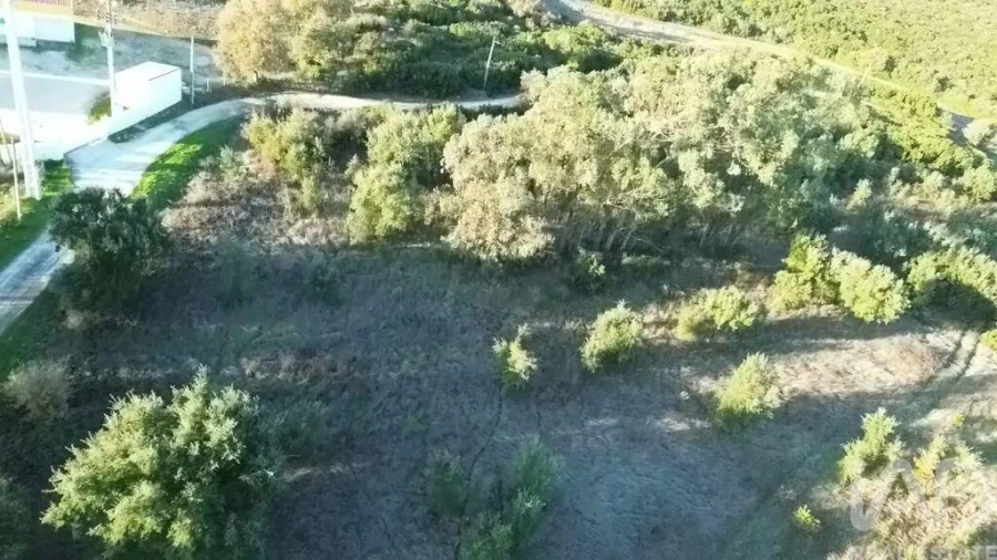 Terreno para Venda em Almoster Foto 30