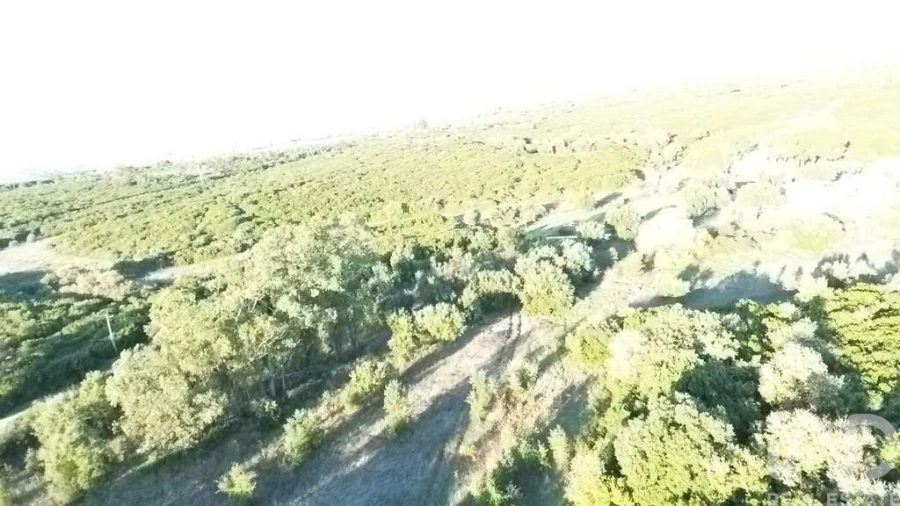 Terreno para Venda em Almoster Foto 24