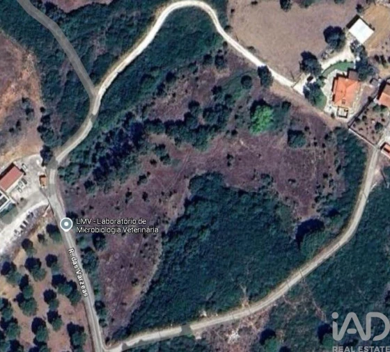 Terreno para Venda em Almoster