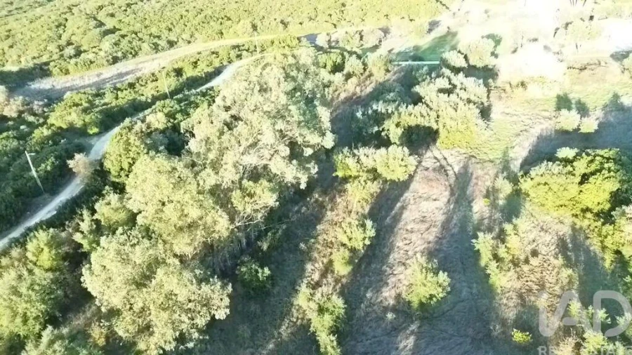 Terreno para Venda em Almoster Foto 17