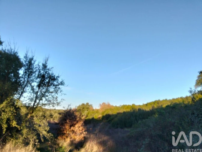 Terreno para Venda em Almoster Foto 2