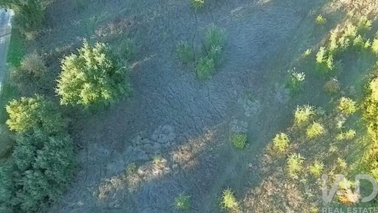 Terreno para Venda em Almoster Foto 18