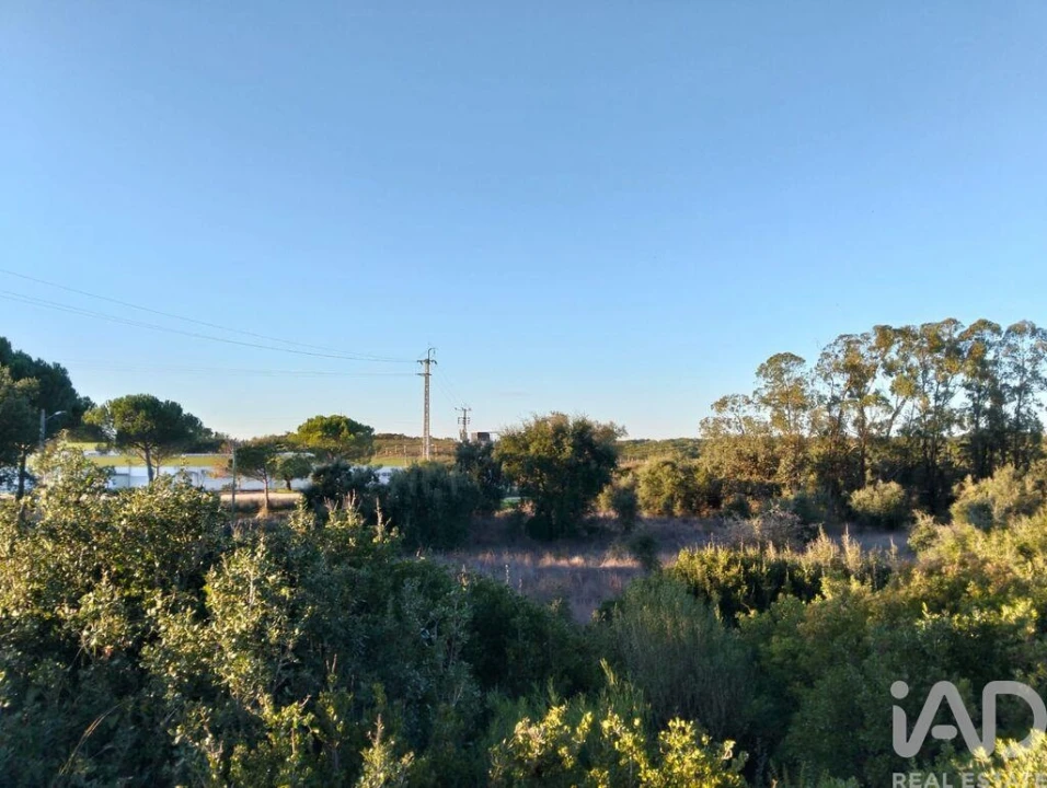 Terreno para Venda em Almoster Foto 6