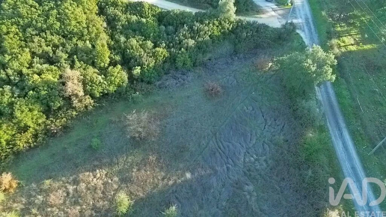 Terreno para Venda em Almoster Foto 25