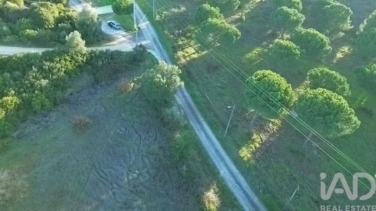 Terreno para Venda em Almoster Foto 21