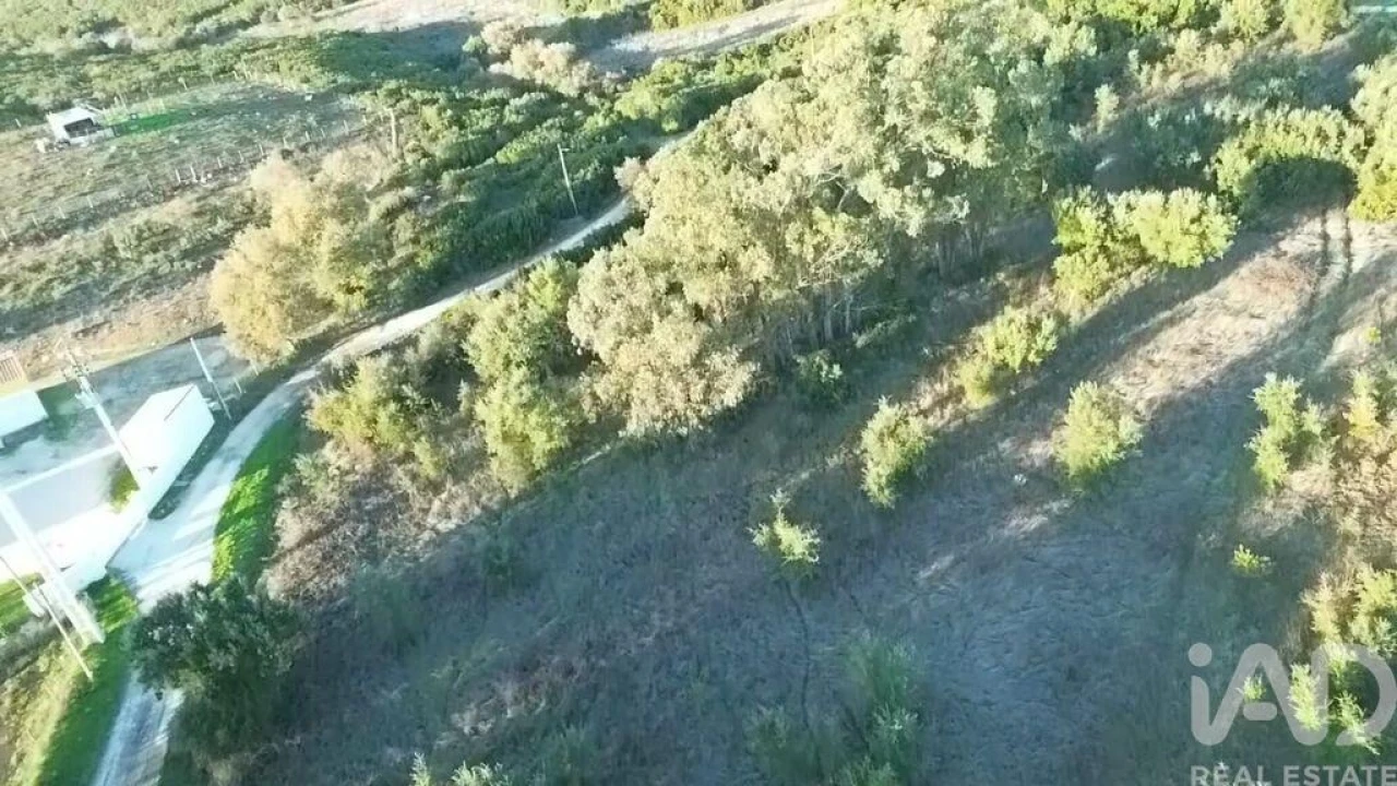 Terreno para Venda em Almoster Foto 16