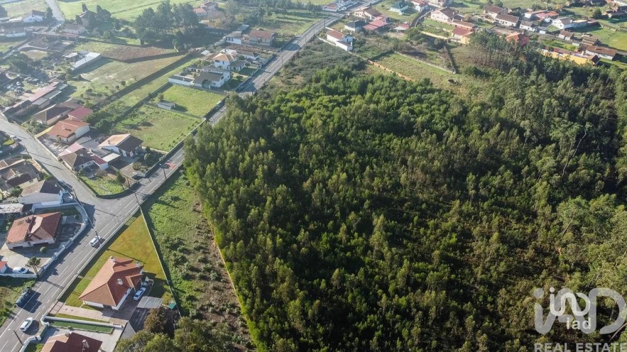 Terreno para Venda em Beduído e Veiros Foto 5
