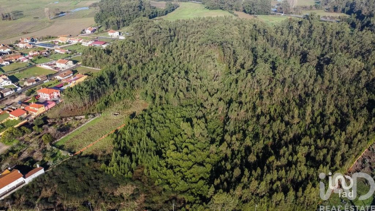 Terreno para Venda em Beduído e Veiros Foto 2
