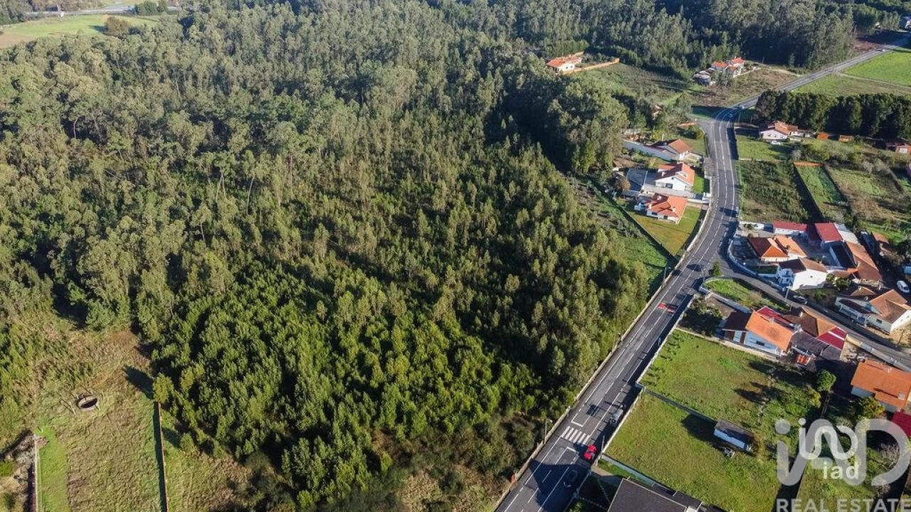 Terreno para Venda em Beduído e Veiros Foto 3