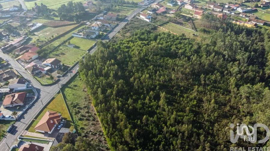 Terreno para Venda em Beduído e Veiros Foto 6