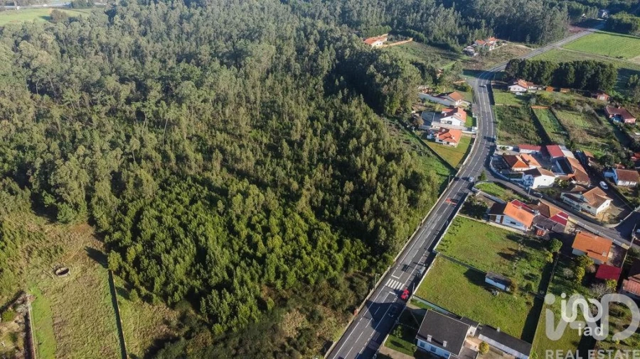 Terreno para Venda em Beduído e Veiros Foto 4