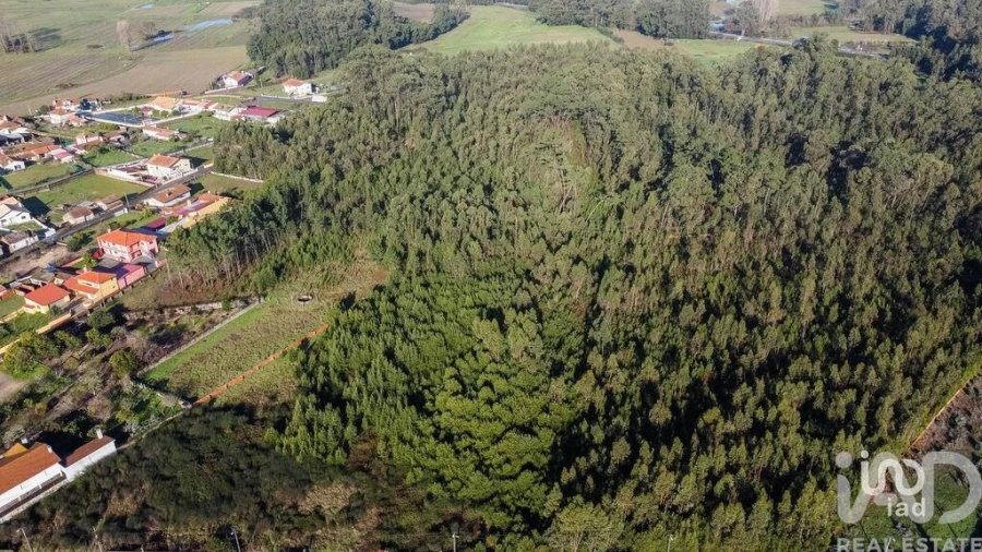 Terreno para Venda em Beduído e Veiros Foto 2