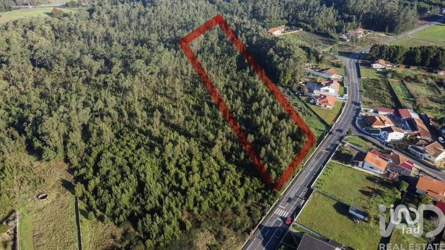 Terreno para Venda em Beduído e Veiros Foto 1