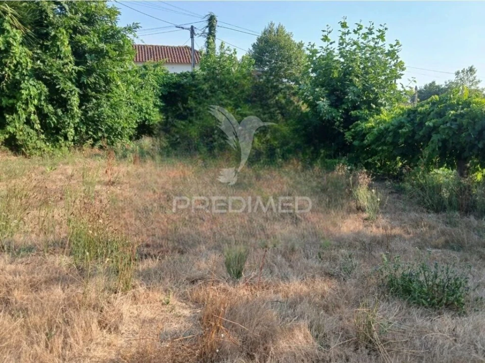 Moradia T3 para Venda em Calvos e Frades Foto 9