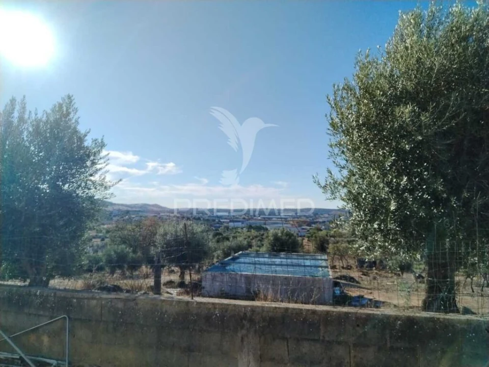 Quinta T3 para Venda em Ribeira de Nisa e Carreiras Foto 5