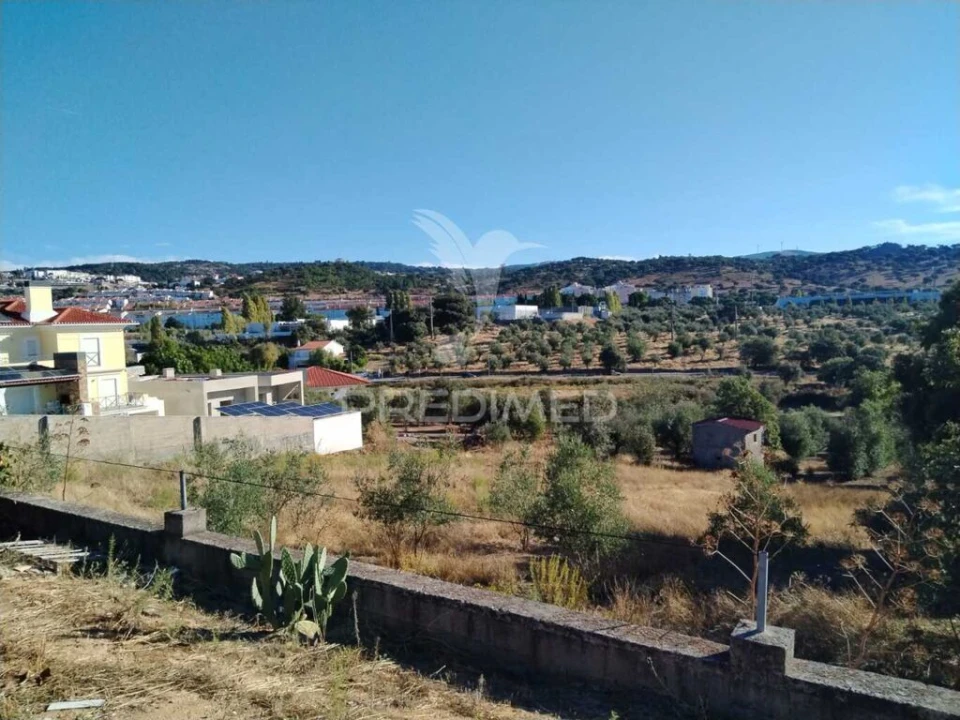 Quinta T3 para Venda em Ribeira de Nisa e Carreiras Foto 4