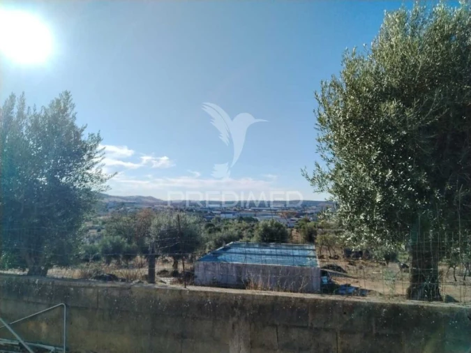 Quinta T3 para Venda em Ribeira de Nisa e Carreiras Foto 5