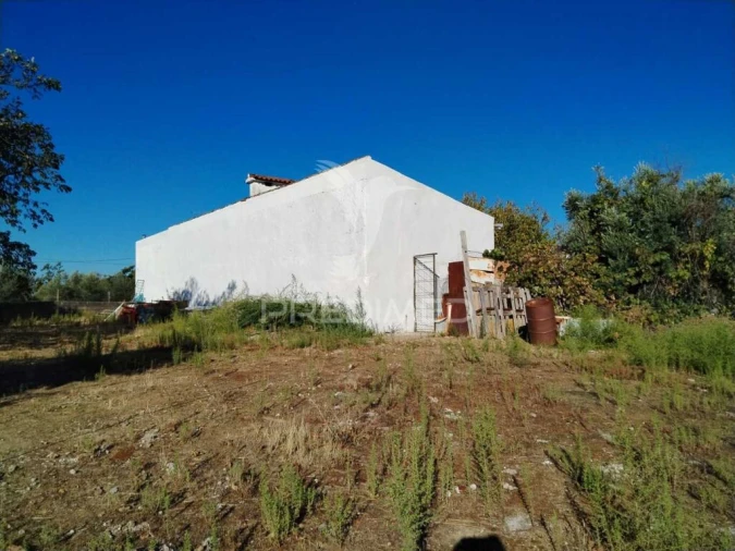 Quinta T3 para Venda em Ribeira de Nisa e Carreiras Foto 3