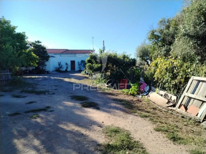 Quinta T3 para Venda em Ribeira de Nisa e Carreiras Foto 2