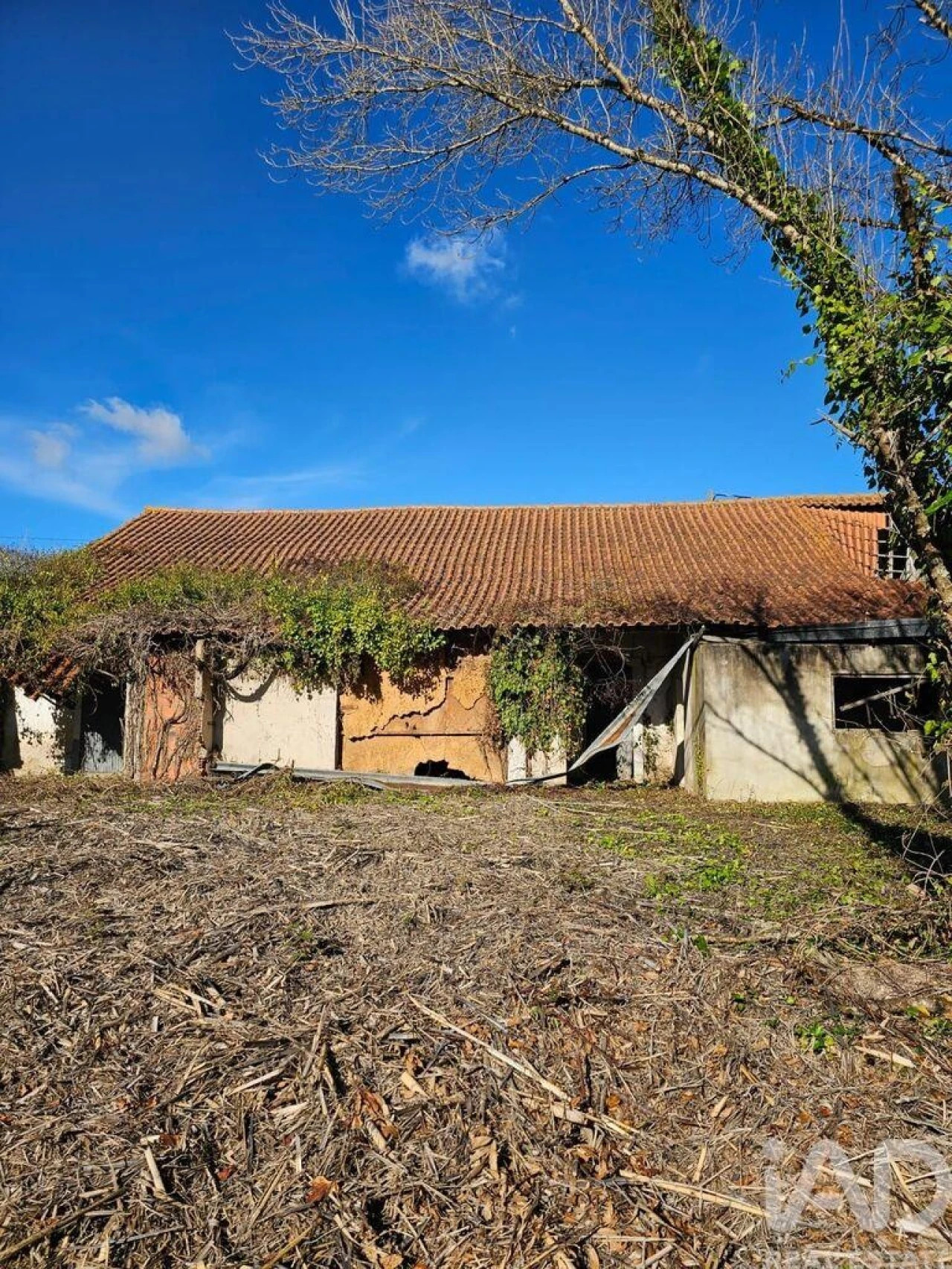 Armazém para Venda em Barrio Foto 6
