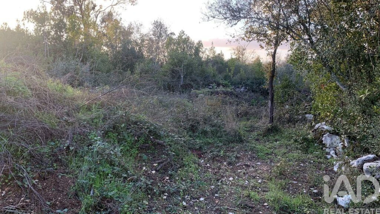 Terreno para Venda em Pombal Foto 13