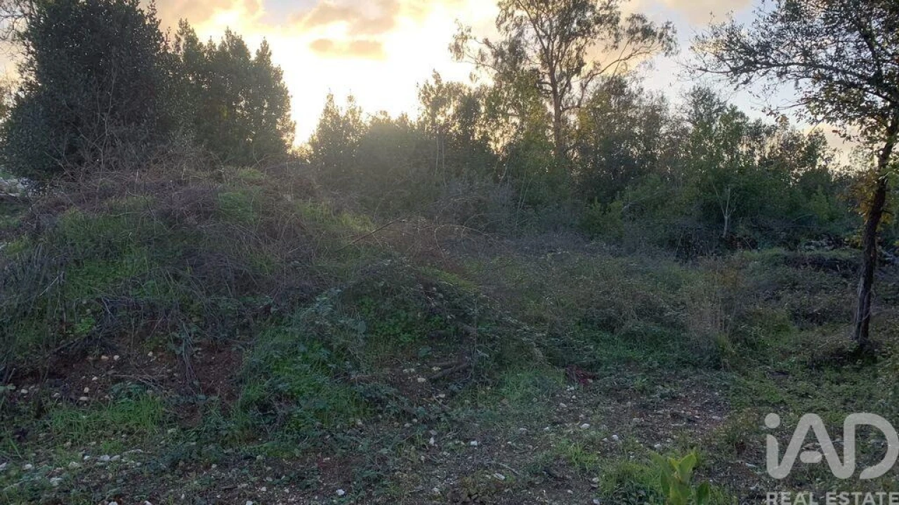 Terreno para Venda em Pombal Foto 22