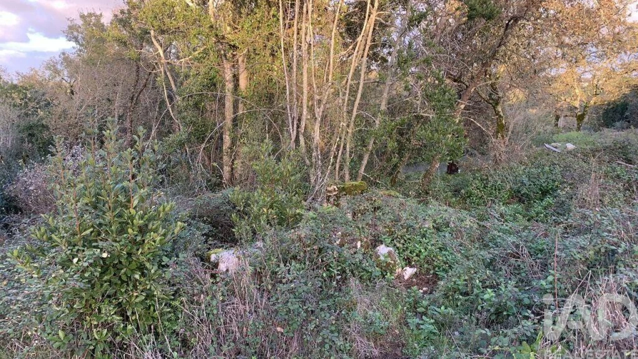 Terreno para Venda em Pombal Foto 16