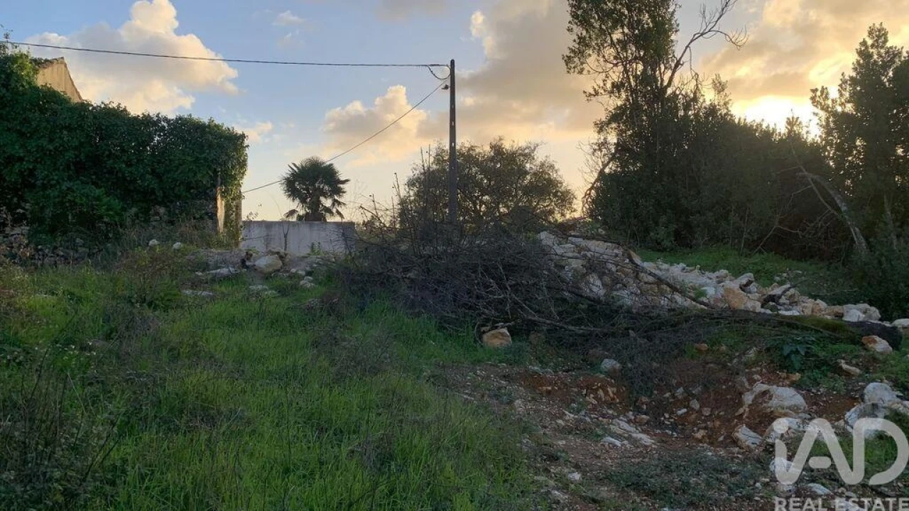 Terreno para Venda em Pombal Foto 23