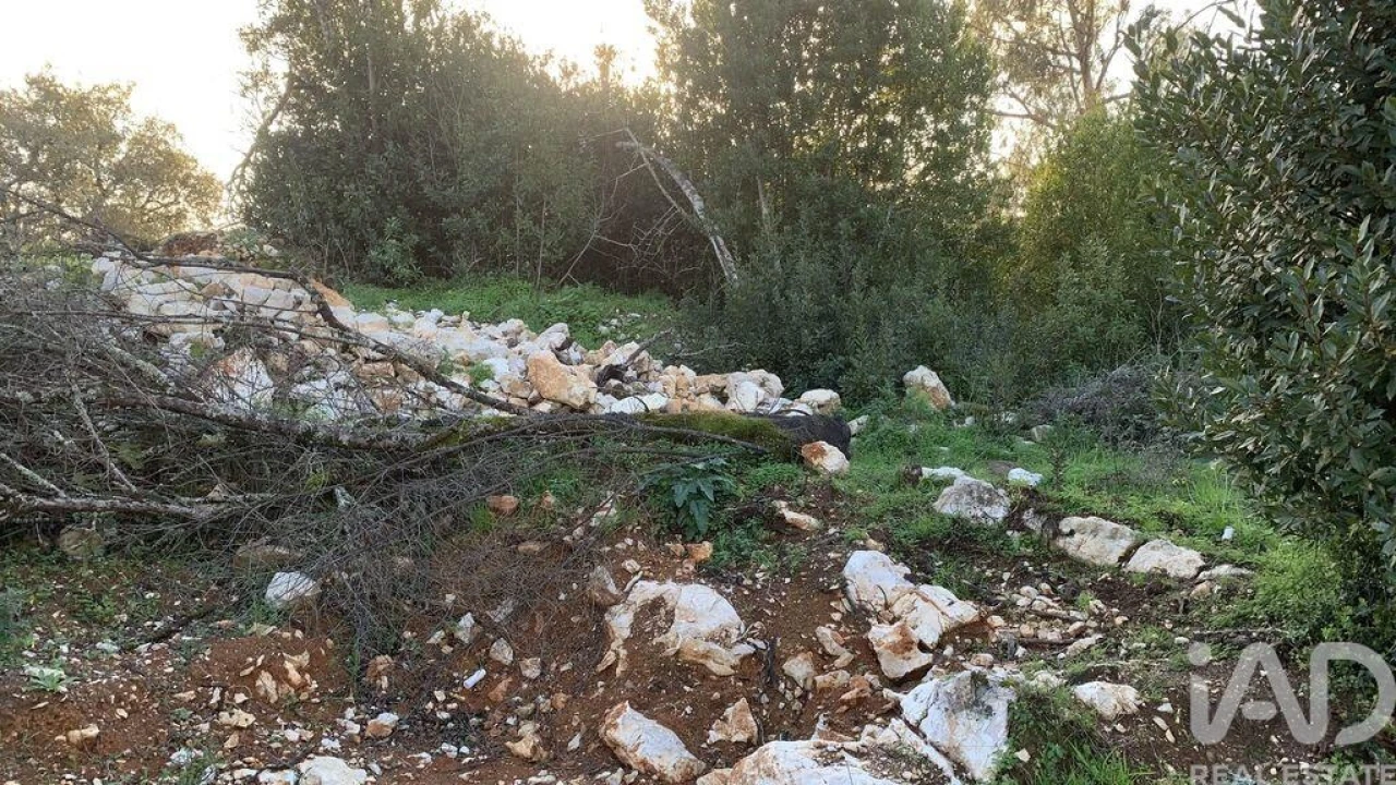Terreno para Venda em Pombal Foto 11
