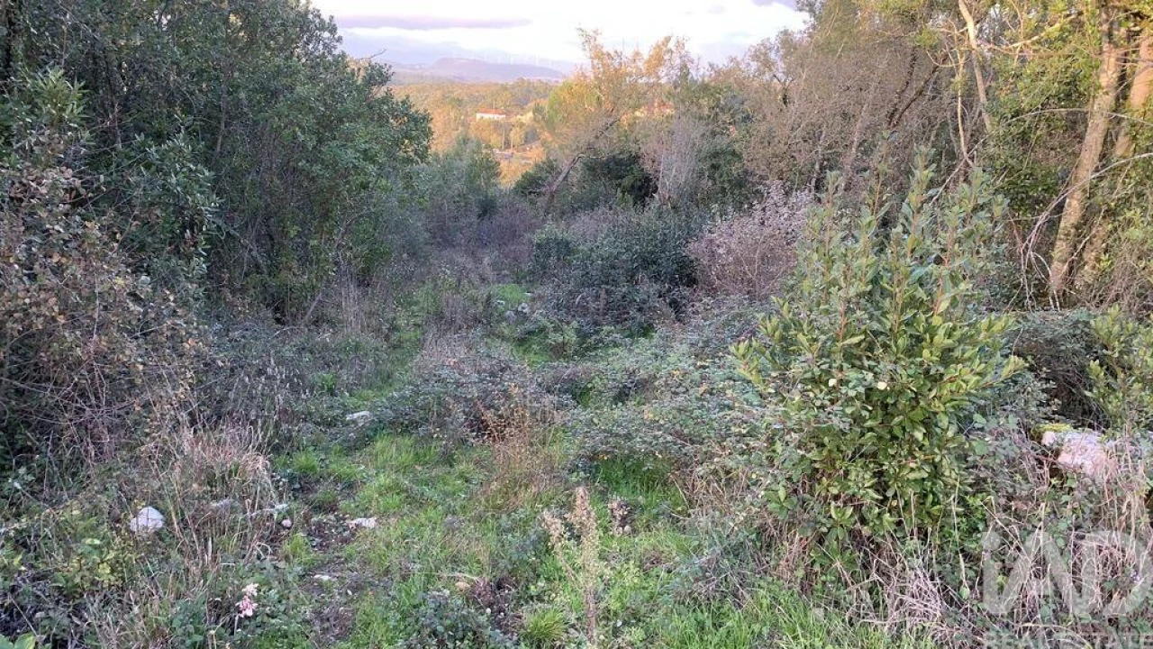 Terreno para Venda em Pombal Foto 12