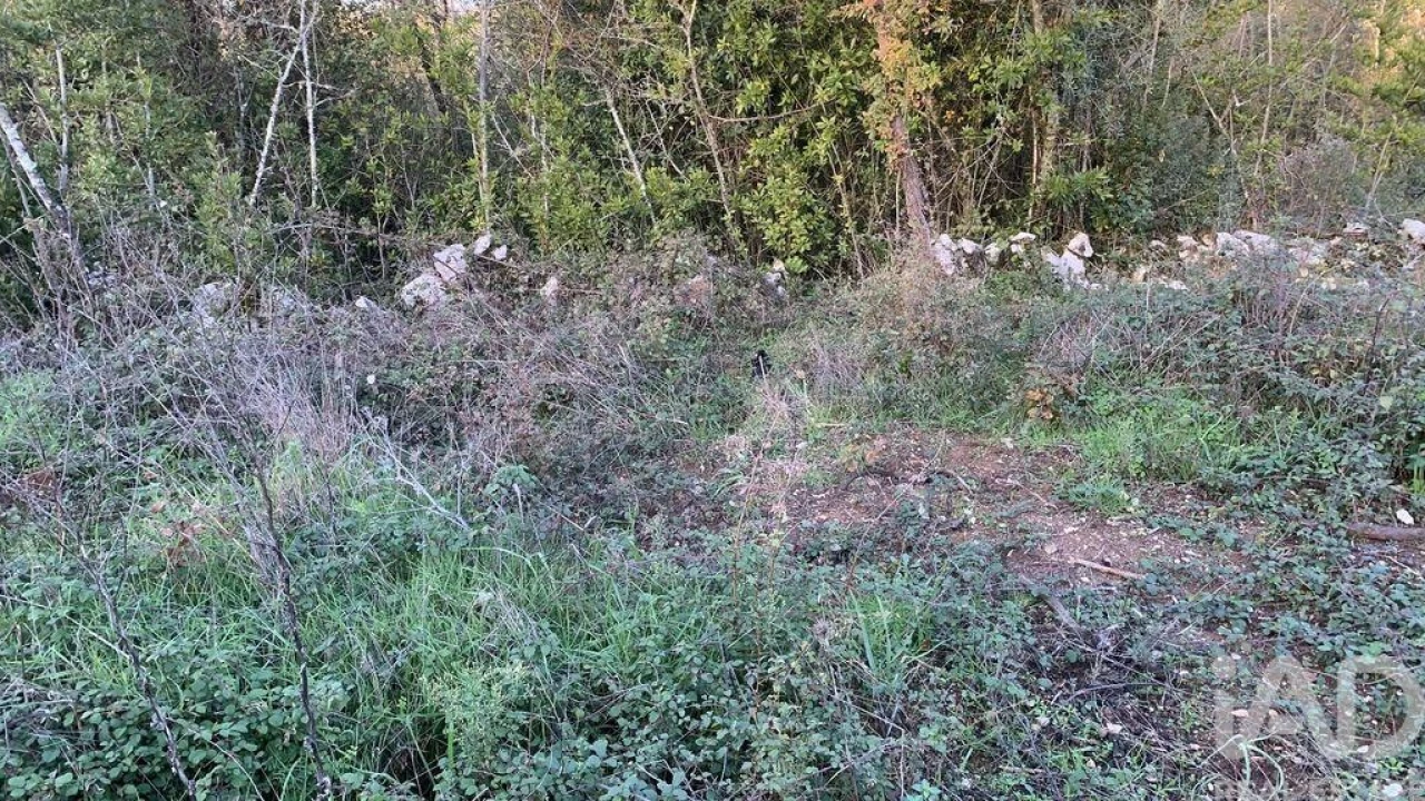 Terreno para Venda em Pombal Foto 24