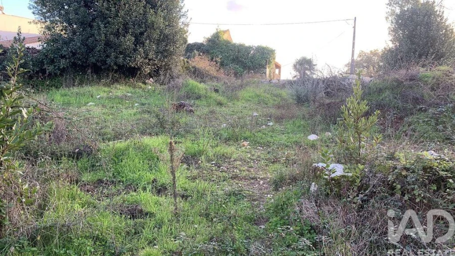 Terreno para Venda em Pombal Foto 17