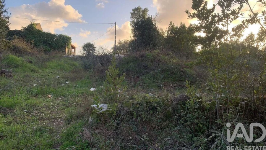 Terreno para Venda em Pombal Foto 15