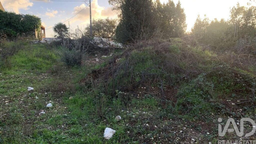 Terreno para Venda em Pombal Foto 18
