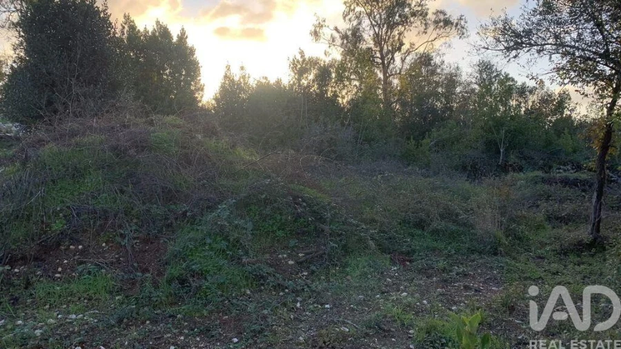 Terreno para Venda em Pombal Foto 22