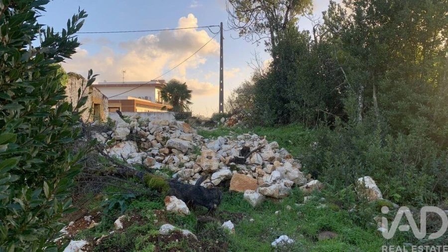 Terreno para Venda em Pombal Foto 19