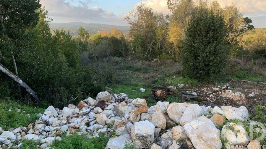 Terreno para Venda em Pombal Foto 8