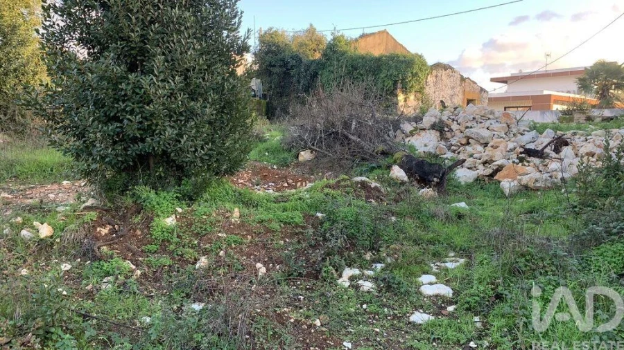 Terreno para Venda em Pombal Foto 25