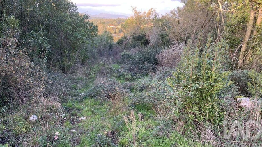 Terreno para Venda em Pombal Foto 12