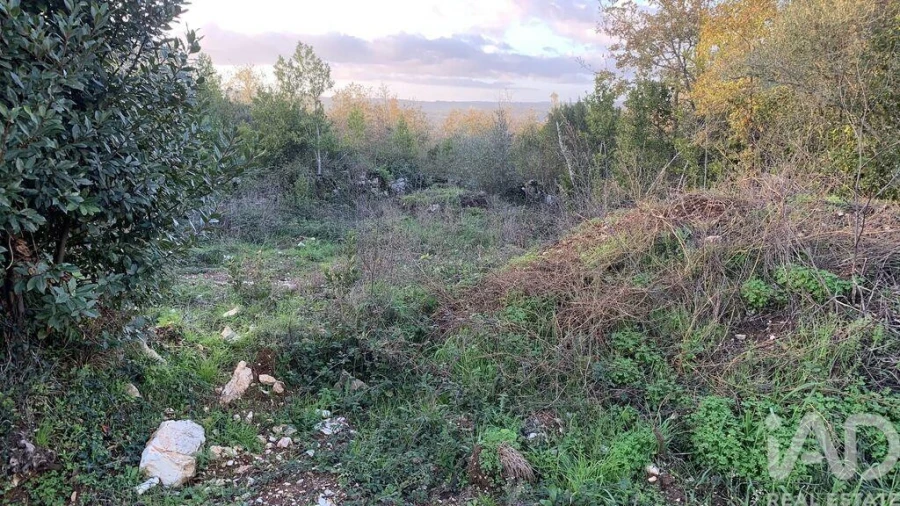 Terreno para Venda em Pombal Foto 2