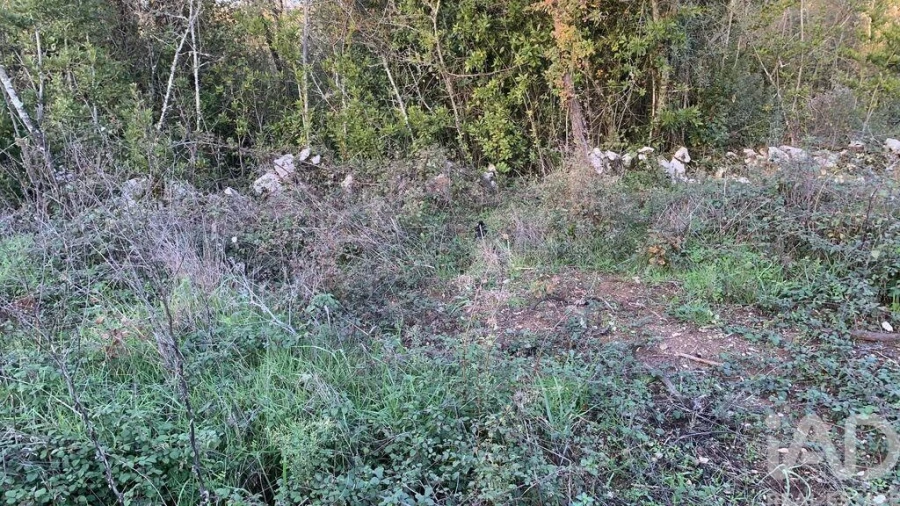 Terreno para Venda em Pombal Foto 24