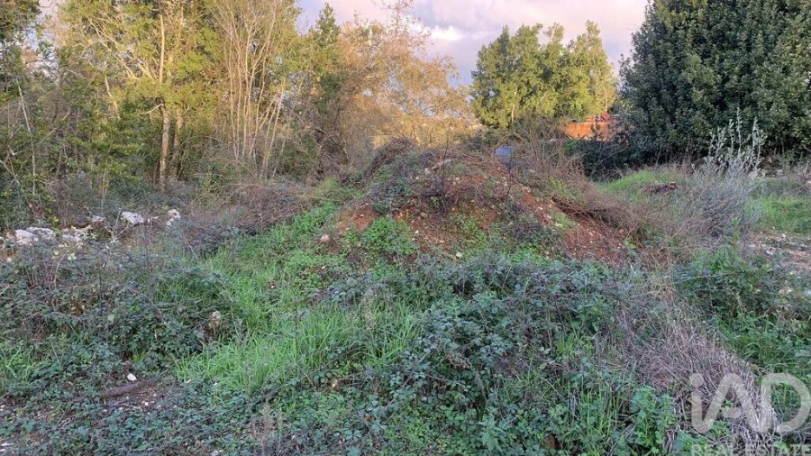 Terreno para Venda em Pombal Foto 26
