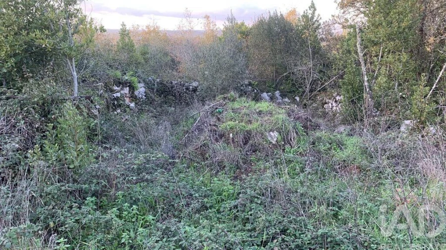 Terreno para Venda em Pombal Foto 27