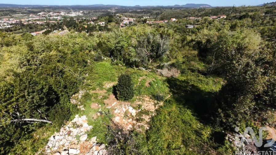 Terreno para Venda em Pombal Foto 8